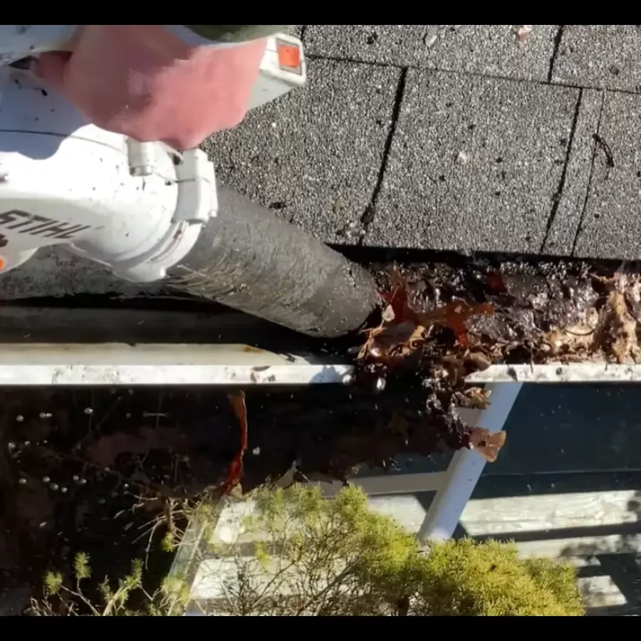 Expert Gutter cleaning services