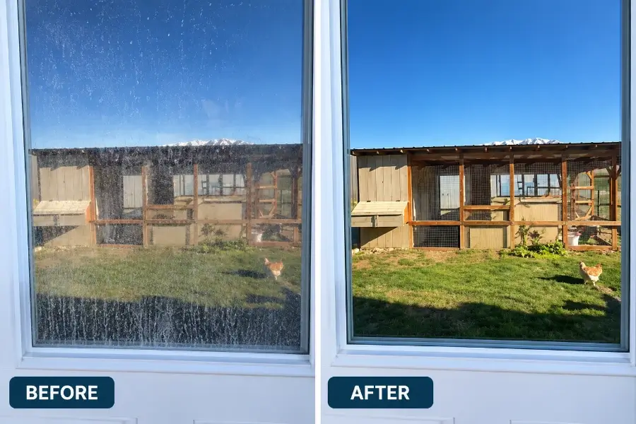 vacation rental window cleaning before after comparison