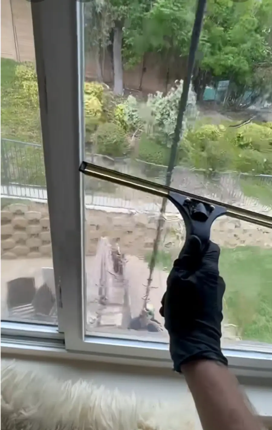 Move-in and move-out window cleaning in San Clemente