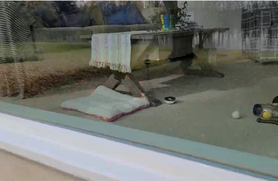Our process of How we cleaned your San Clemente windows