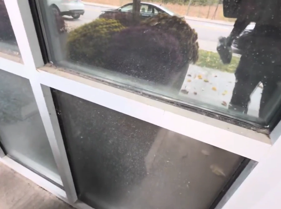 Commercial window washing Talega